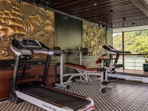 5 Star Le Journey Elegance Cruise – 2 Days Lan Ha Bay Discovery