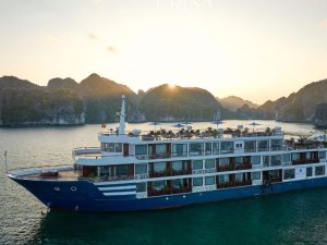Erina Cruise