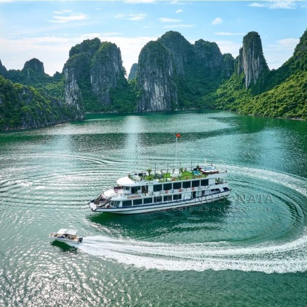 Ha Long Bay 1 Day Tour with Ha Long Sonata Cruise – 5.5-Hour Scenic Discovery