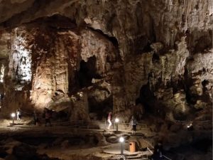 Ha Long Bay Day Cruise with Wego Ha Long – 6 Hour Scenic Journey