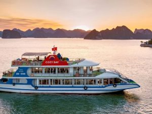 Cozy Cruise