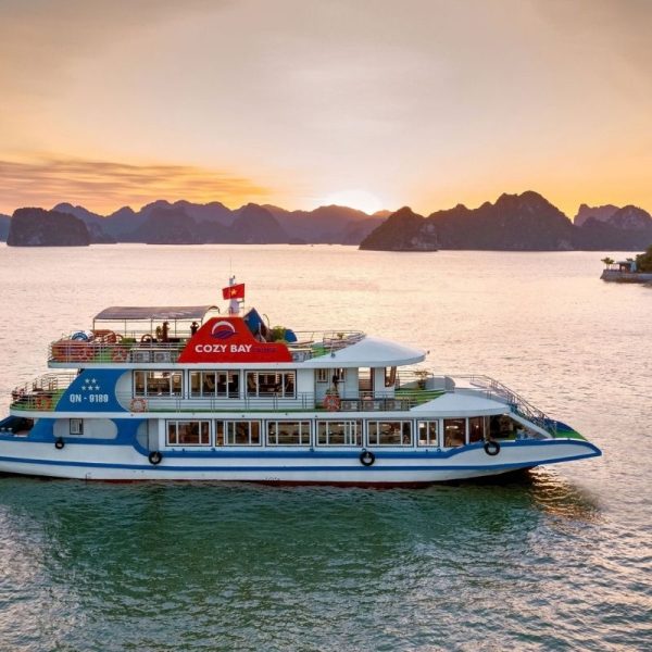 Ha Long Bay Luxury Day Cruise – 6-Hour Scenic Discovery with Cozy Bay Premium Cruise