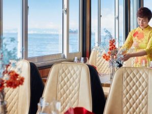 Ha Long Bay Luxury Day Cruise – 6-Hour Scenic Discovery with Cozy Bay Premium Cruise