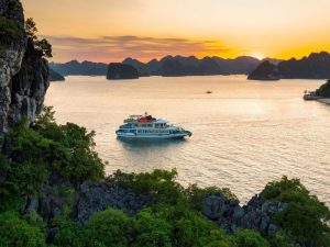 Ha Long Bay Luxury Day Cruise – 6-Hour Scenic Discovery with Cozy Bay Premium Cruise