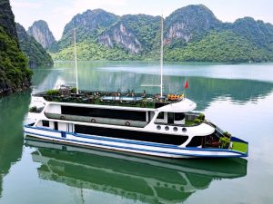 Maia Cruise 5 Star
