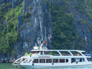 Alova Premium Cruise