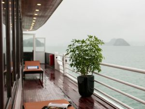 La Regina Royal Cruise 2 Days 1 Night