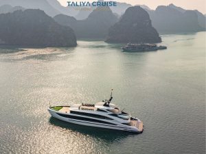 Taliya Cruise through Ha Long & Lan Ha Bay – 7.5-Hour Scenic Luxury Journey