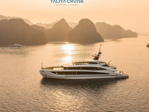 Taliya Cruise